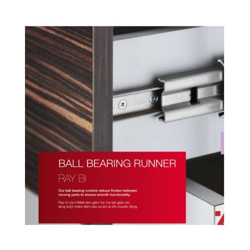 Ảnh thực tế của ray bi không giảm chấn dài 250mm Hafele 494.02.460